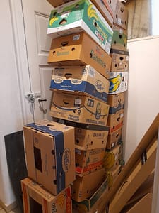 WhatsApp Image 2026-03-05 at 14.35.27