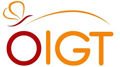 ÖIGT ÖIGT - Giefing web | media